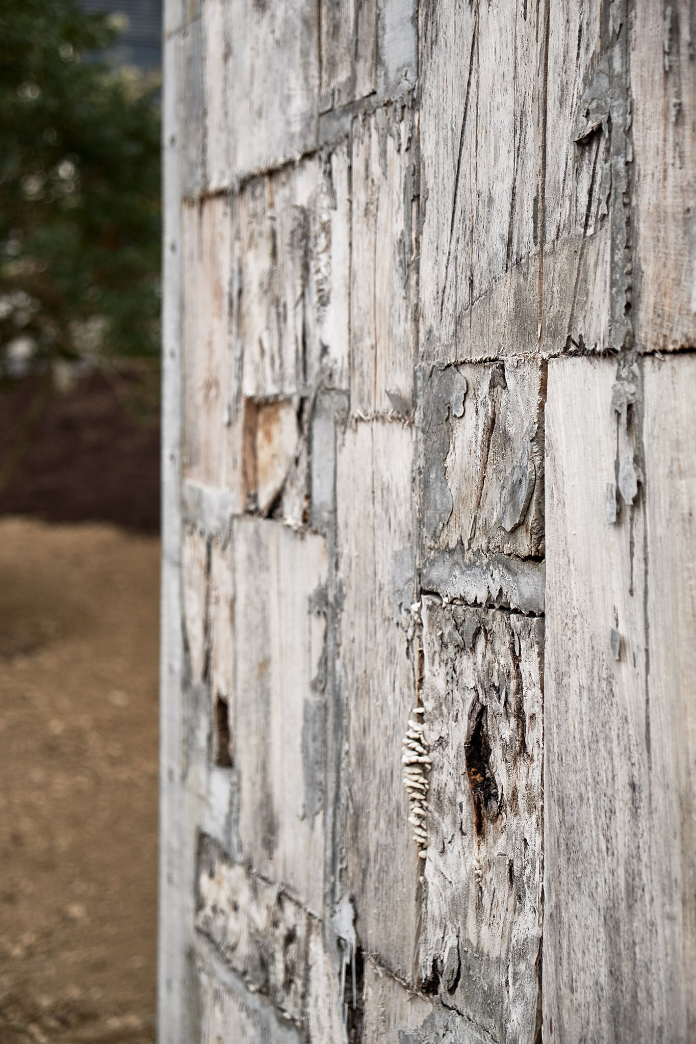 Annexe de la Mouline / UNIL